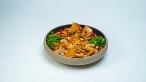 chicken fattah فتة دجاج boiled chicken, tahini, toasted bread, garlic, pomegranate, nuts, and ghee result